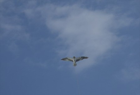 DSCF1245_0104