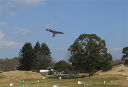 DSCF1446_0110
