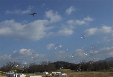 DSCF1471_0110