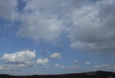 DSCF1545_1104