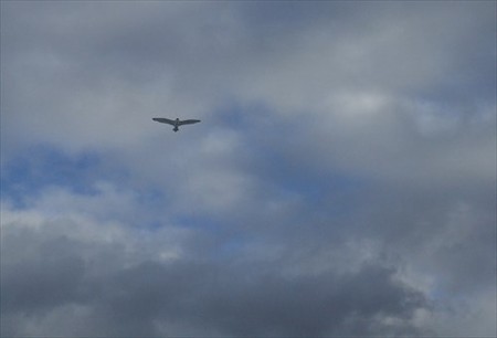 DSCF1668_0112