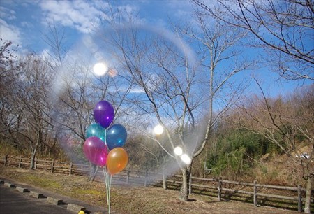 IMGP2245_0118