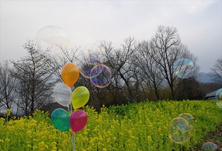 IMGP3207_0207