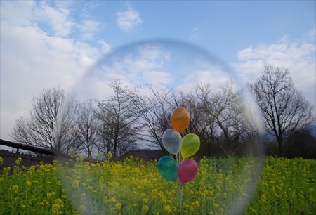 IMGP3253_0207