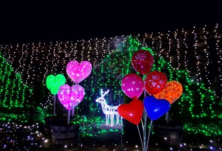 IMGP2082_0211