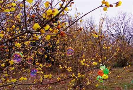 IMGP2779_0215
