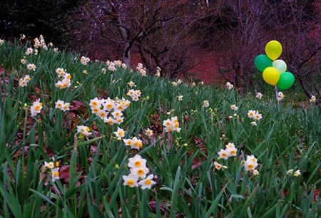 IMGP3823_0222