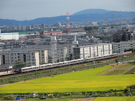 207系普通 東海道本線高槻~島本