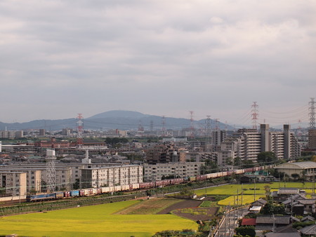 EF510青釜貨物 東海道本線高槻~島本