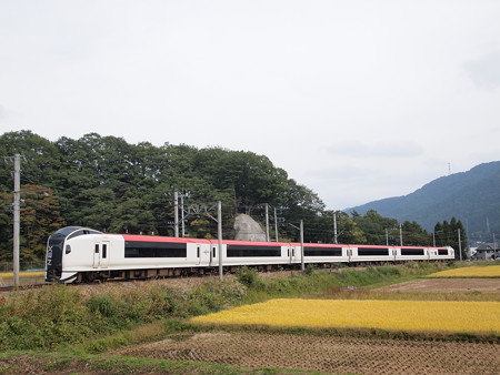 E259系成田エクスプレス 富士急行線三つ峠~寿01
