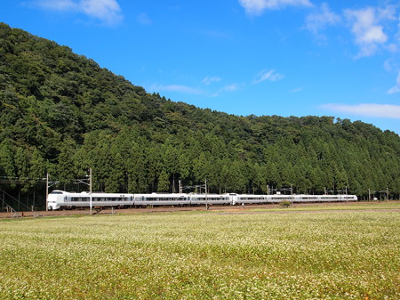 683系特急しらさぎ 北陸本線南条~湯尾02