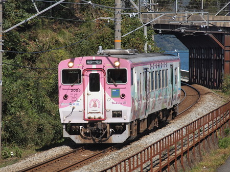 キハ41普通 山陰本線城崎温泉~玄武洞02