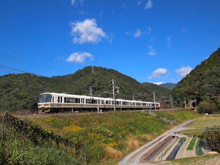 221系普通 山陰本線馬堀~保津峡03