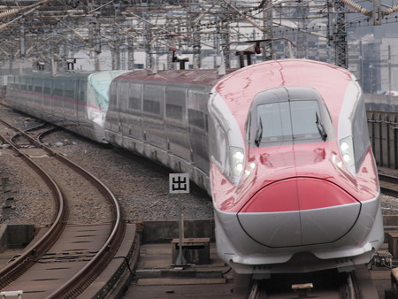 E6系こまち 東北新幹線大宮駅 01