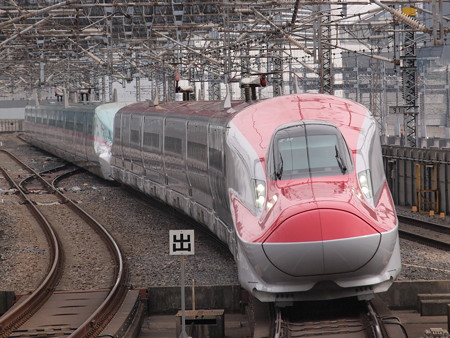 E6系こまち 東北新幹線大宮駅 02