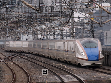 E7系あさま 東北新幹線大宮駅 02