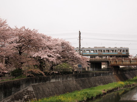 211系普通 中央本線日野~立川