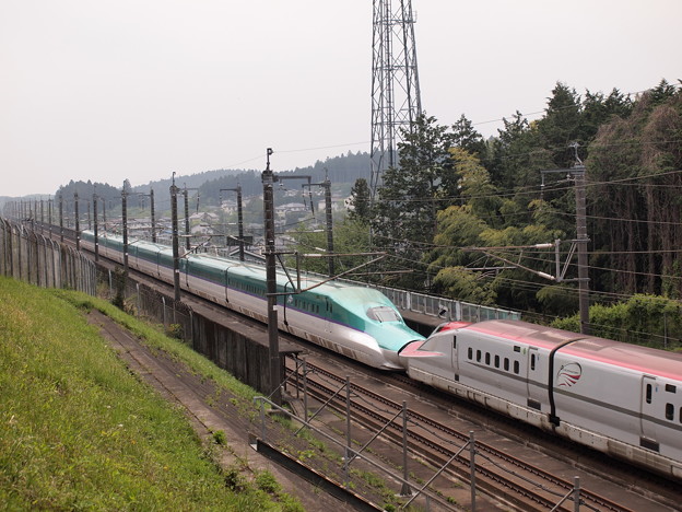 E6系 H5系はやぶさ こまち東北新幹線宇都宮 那須塩原02 照片共享頁面 攝影藏