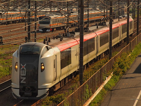 E259系特急成田エクスプレス 中央本線八王子~豊田