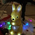 Photos: うさぎも光る ～full moon Xmas tonight