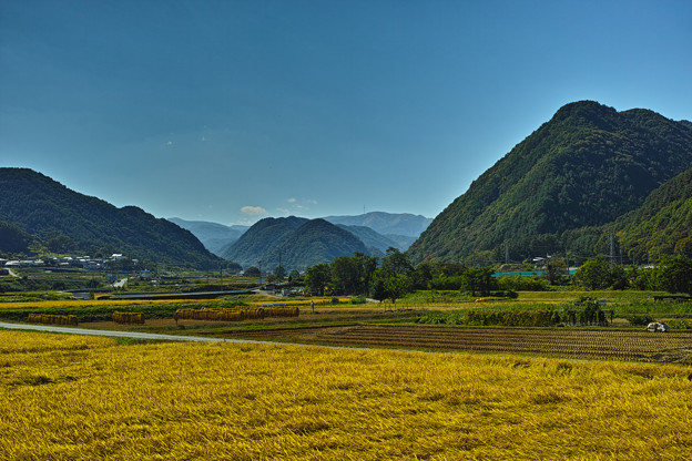 SDIM0037