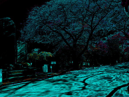 情景_蒼い道_01