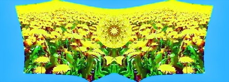 world of yellow-04c