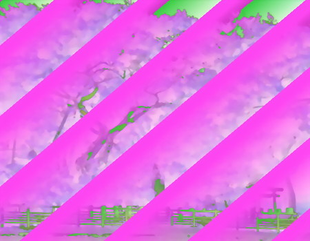 羽衣の松-01c