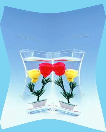 水中花-01b