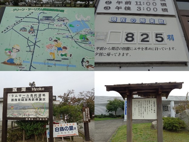 瓢湖