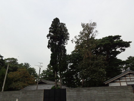 DSC00443