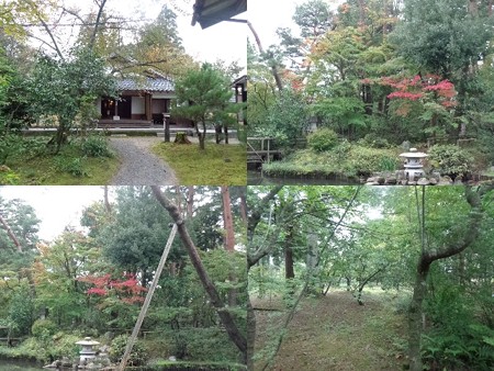 市島邸庭2
