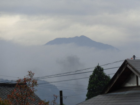 DSC00498