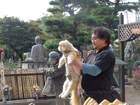DSC00657