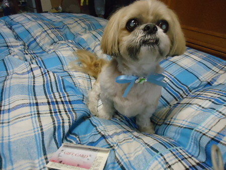 DSC00213