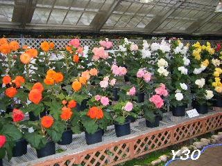 BLOG2272_pa