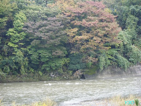 DSCF2713_pa