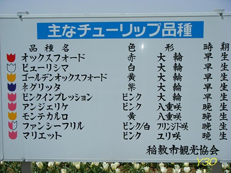 DSCF6571_P