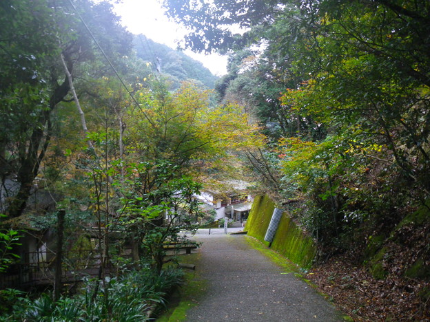 IMGP0196