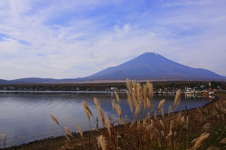 山中湖　富士山とススキ