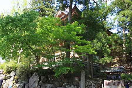 緑に囲まれて　永平寺