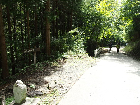 P9138737