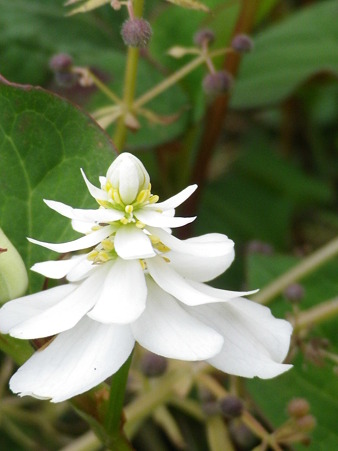 IMGP0124