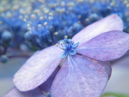 DSCF0339