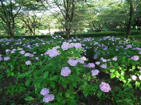 DSCF0597