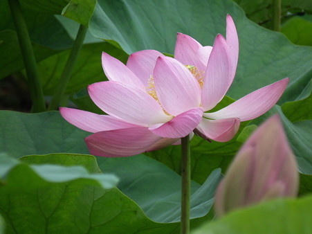 DSCF0021