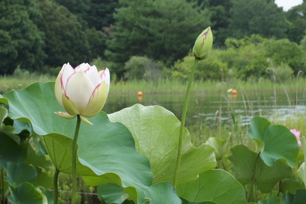DSCF0085