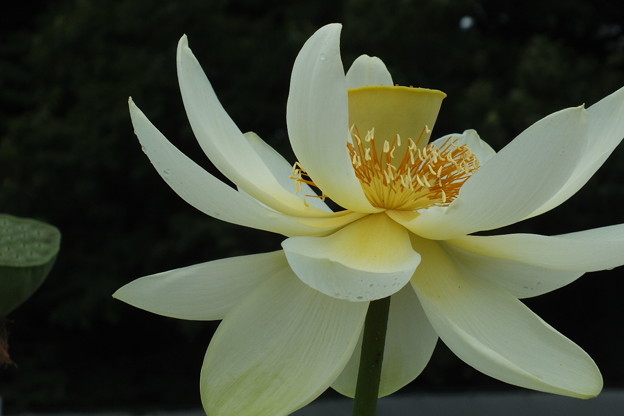 DSCF0080