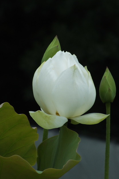 DSCF0134