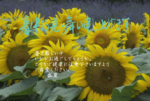 暑中12